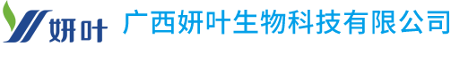 廣州妍葉